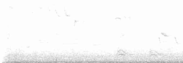strakapoud osikový/americký - ML546620221