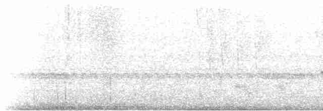 Speckle-breasted Wren - ML546636381