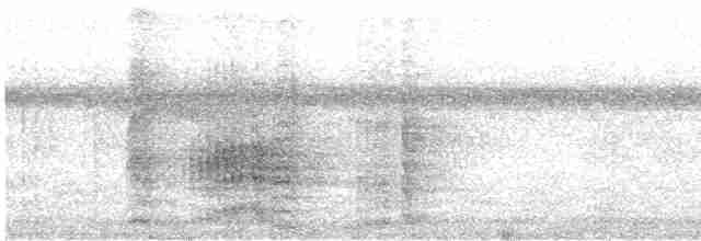 Kara Karınlı Sincap Guguğu - ML546671531