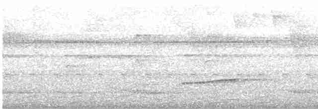 Black-tailed Trogon - ML546689981