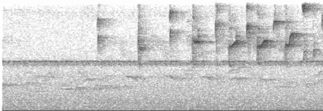 Three-striped Warbler (auricularis) - ML546697301