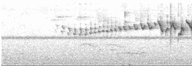 Three-striped Warbler (auricularis) - ML546702841