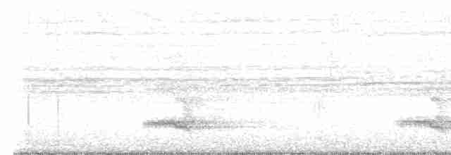 tukan volavý (ssp. ariel) - ML546707761