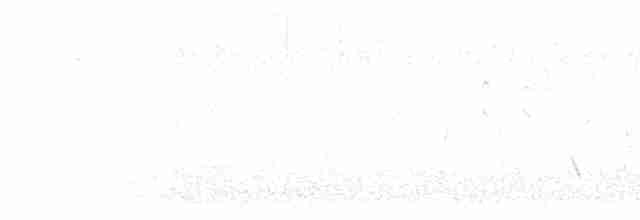 Western Subalpine Warbler - ML546803801