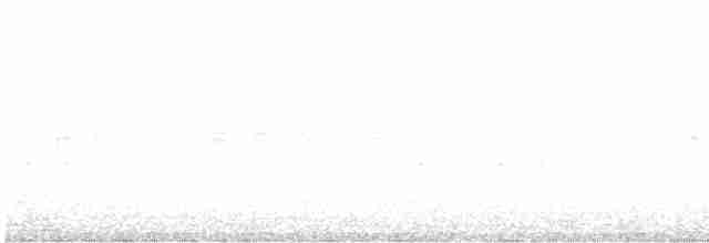 rorýs bělohrdlý - ML546869021