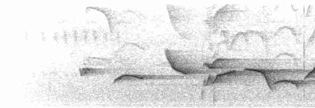 Малайская лесная куропатка - ML546890621