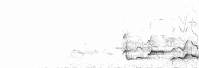  - African Hill Babbler (African)