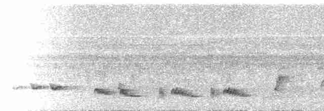  - Snowy-crowned Robin-Chat