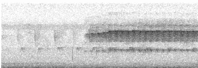 strakapoud hnědohlavý - ML547025541
