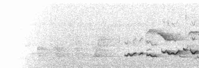  - East Coast Akalat (East Coast)