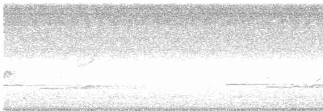Кустарниковая кукушка (sepulcralis/everetti) - ML547048011