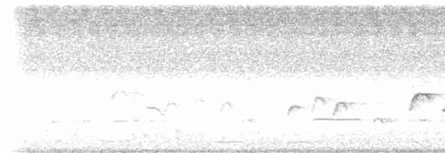 Javan Gray-throated White-eye - ML547048161