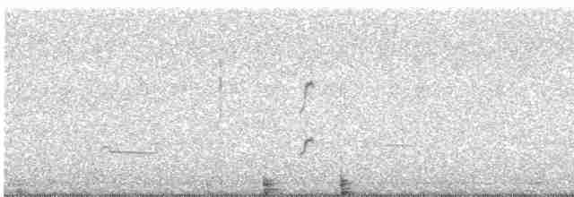 Bécasseau sanderling - ML547061571
