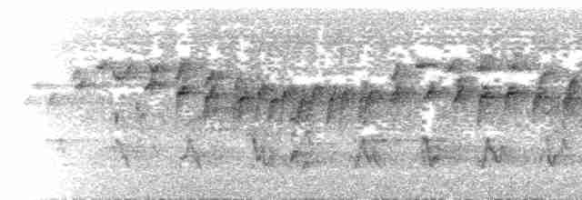  - Blue-headed Sunbird