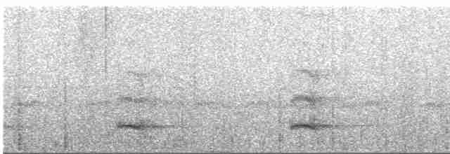 tukan volavý (ssp. citreolaemus) - ML547108461