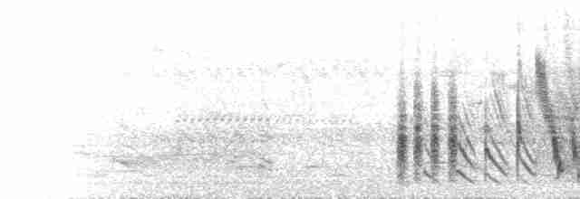  - Black-necked Weaver