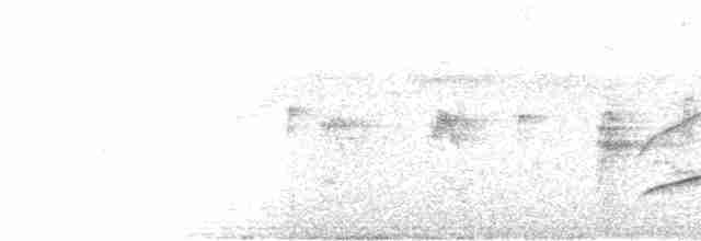 Kahverengi Tepeli Pufkuşu - ML547133371