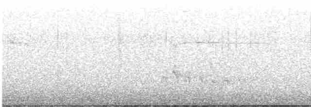 Troglodyte de Bewick - ML547134391