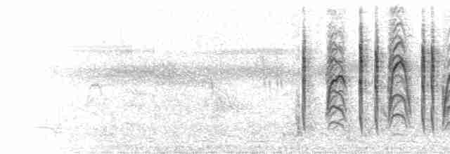  - Fawn-breasted Waxbill (Abyssinian)