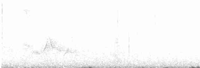 White-eyed Vireo - ML547194581