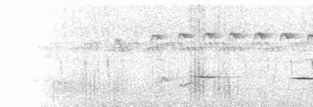  - Thick-billed Seedeater