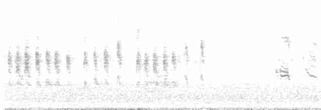 Woodchat Shrike - ML547212561