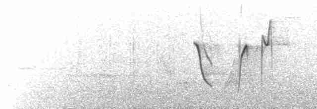  - Cochabamba Mountain Finch