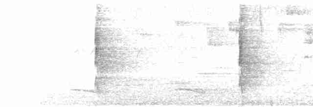 Трогон темноволий (підвид aurantiiventris/underwoodi) - ML547251021