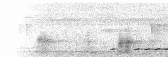  - Ferruginous Partridge