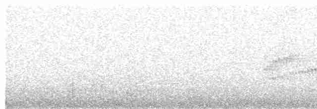 Spot-breasted Wren - ML54733911