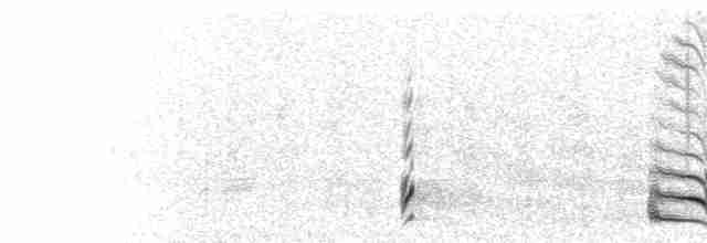  - Cream-colored Courser