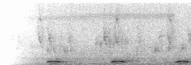  - Schrenck's Bittern