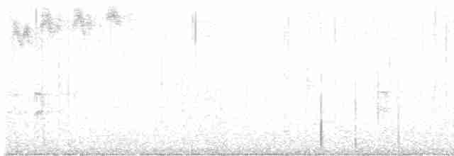 Red Crossbill (Western Hemlock or type 3) - ML547498851