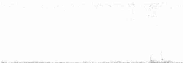 White-crowned Penduline-Tit - ML547509471