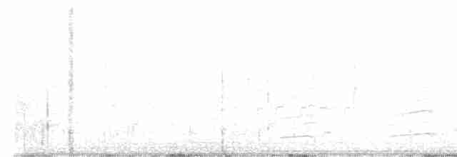 Белоголовый орлан - ML547513181