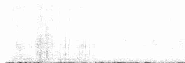Weißbrustkleiber (aculeata/alexandrae) - ML547513241
