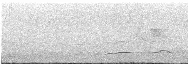 Haubenschlangenadler [cheela-Gruppe] - ML547518611