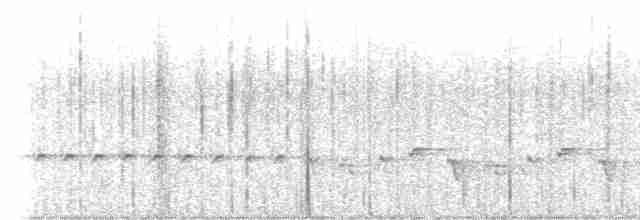 Japanese Bush Warbler - ML547524831