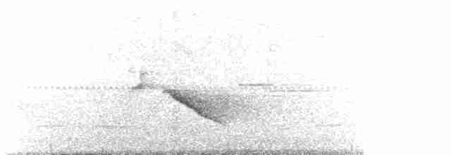 Buff-breasted Babbler - ML547528251