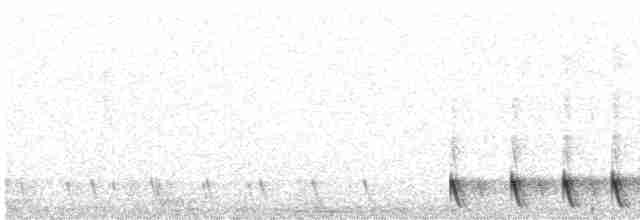 Gray Nightjar - ML547549171