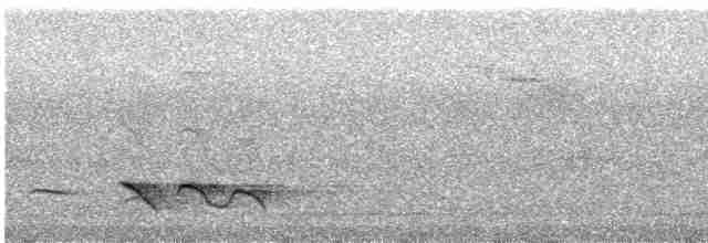 Black-headed Shrike-Babbler - ML547558951