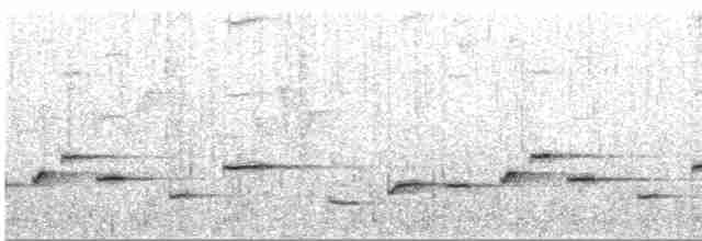 Troglodyte de Negret - ML547564981