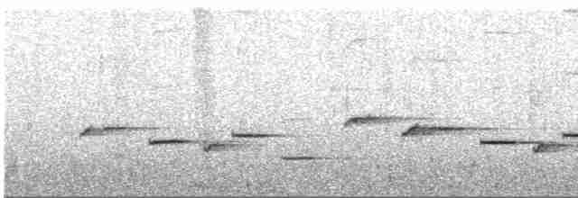 Troglodyte de Negret - ML547565831