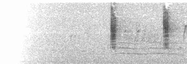  - Purple-crowned Fairywren