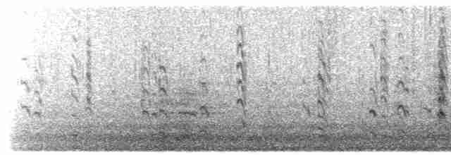 Bar-tailed Godwit - ML547692451