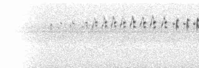  - Broad-tailed Grassbird