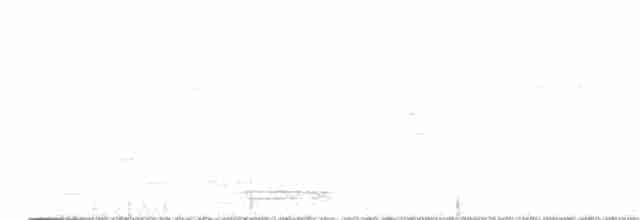 momot širokozobý - ML547720001