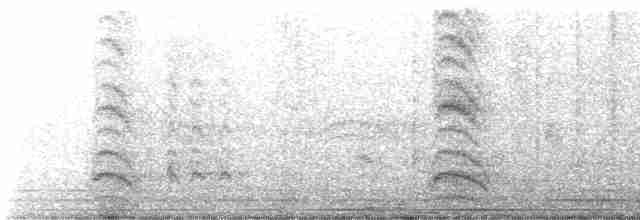 Озёрная чайка - ML547720081
