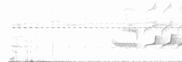 Weißkehl-Ameisenvogel - ML547721701