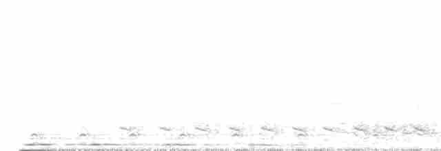 White-tailed Trogon - ML547725251